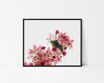 Botanical Flower Print, Digital Printable Art, Wall Art, DIGITAL DOWNLOAD, Wall Decor, Instant Download