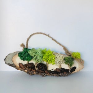 保存された苔の壁アート、創造的な苔の装飾、トナカイの苔の壁の装飾、天然木のスライスアート、環境に優しい手作りの苔の装飾品