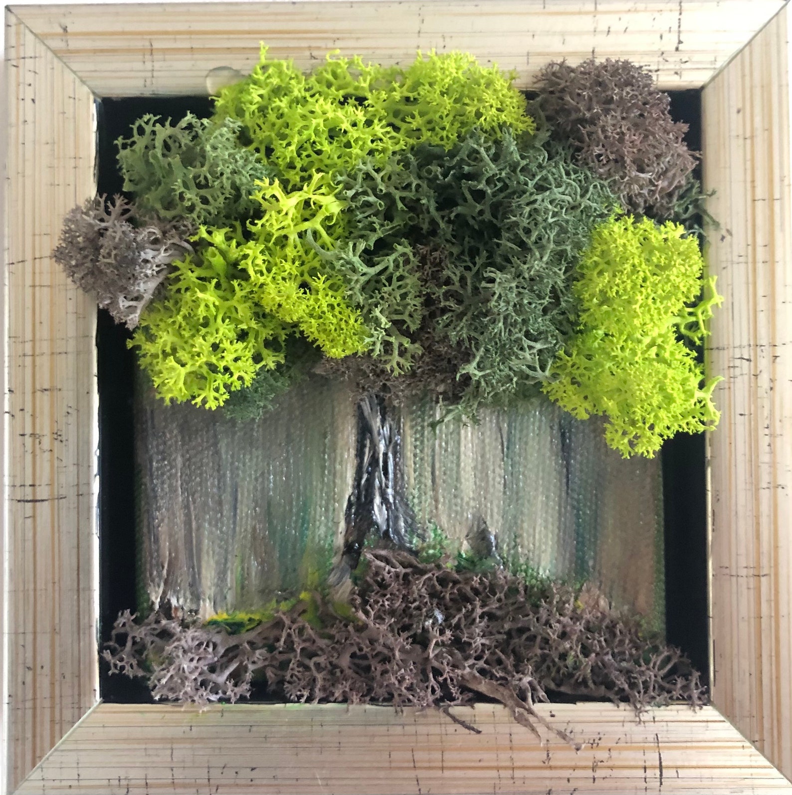 Preserved Moss Wall Art Hanging Moss Art Live Green Moss Mothers Day