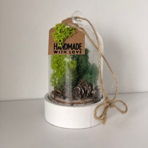 Pequeño terrario de musgo preservado, mini terrario colgante, terrario de musgo en miniatura, decoración de musgo de reno, regalos de musgo de Navidad, regalo de papá de la planta