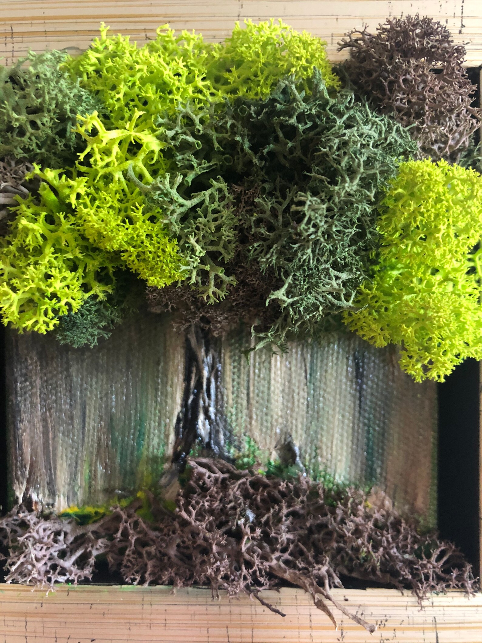 Preserved Moss Wall Art Hanging Moss Art Live Green Moss Mothers Day