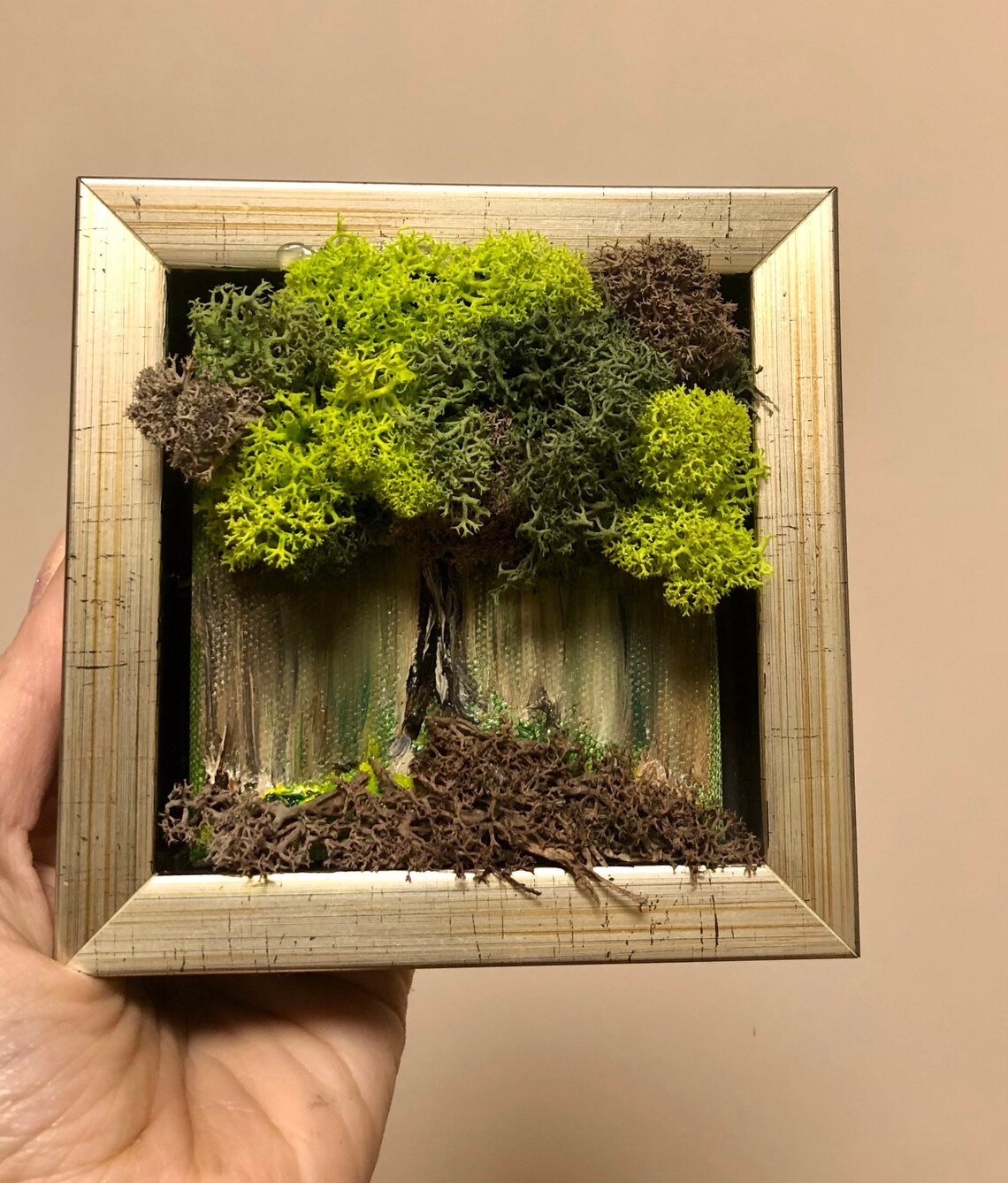 Preserved Moss Wall Art Hanging Moss Art Live Green Moss Mothers Day