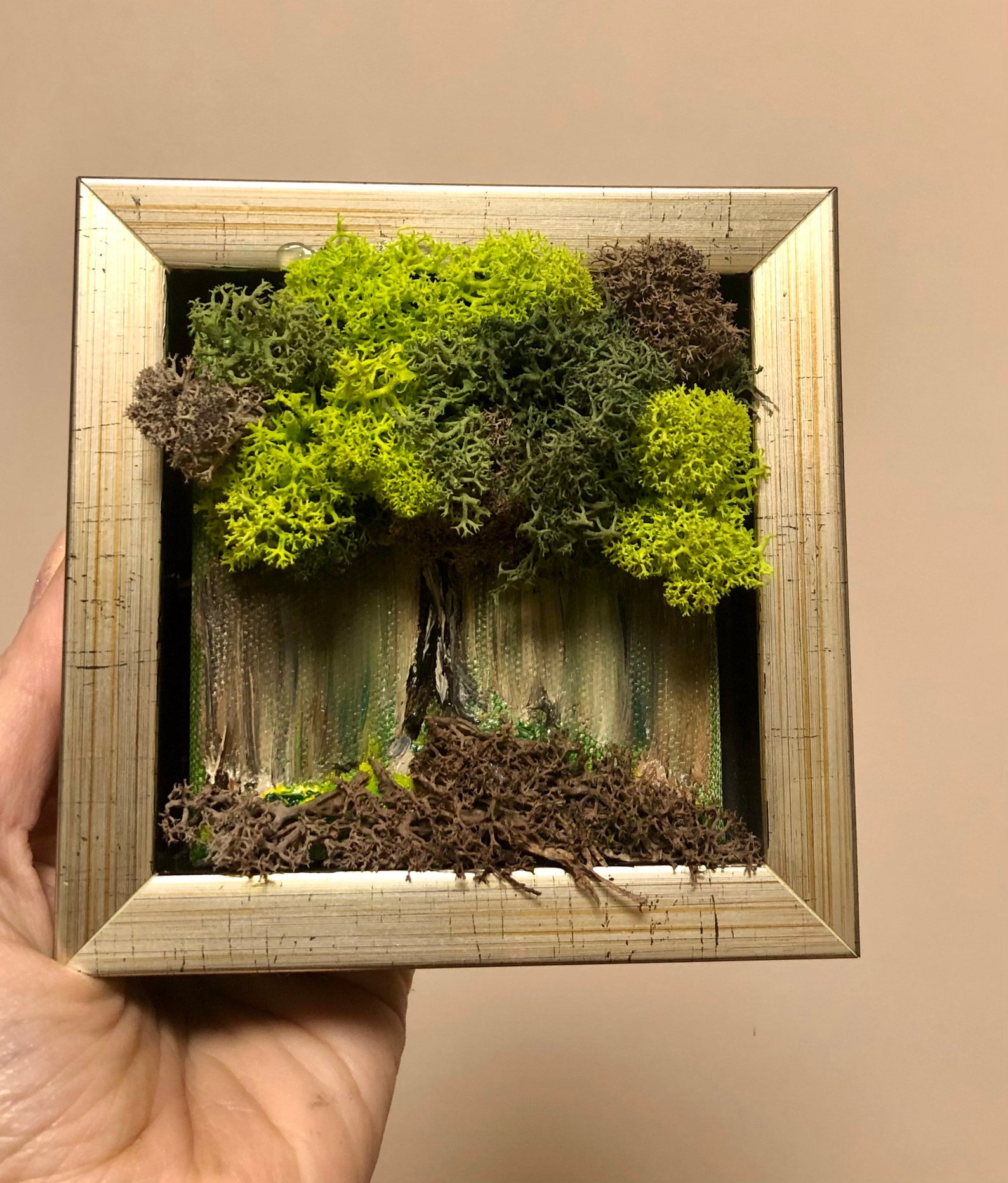 Preserved Moss Wall Art Hanging Moss Art Live Green Moss Mothers Day