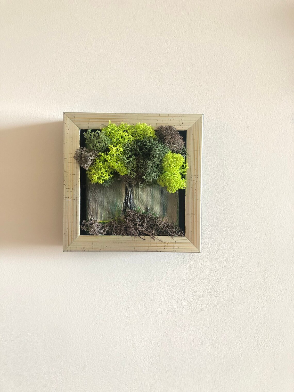 Preserved Moss Wall Art Hanging Moss Art Live Green Moss Mothers Day
