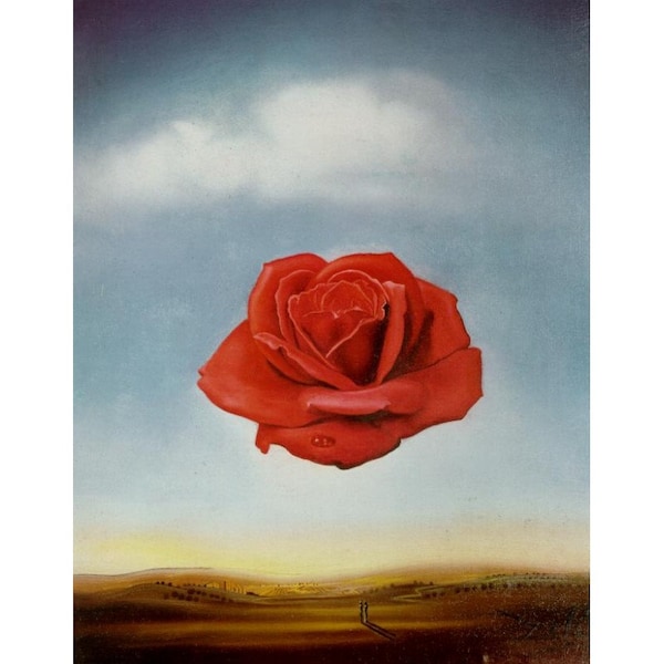 Toile ou impression de qualité musée pour encadrement, Rose méditative, 1958 Salvador Dalí