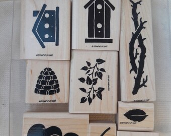 Stampin/' Up Going Buggy Definitely Decorative Stamp Set