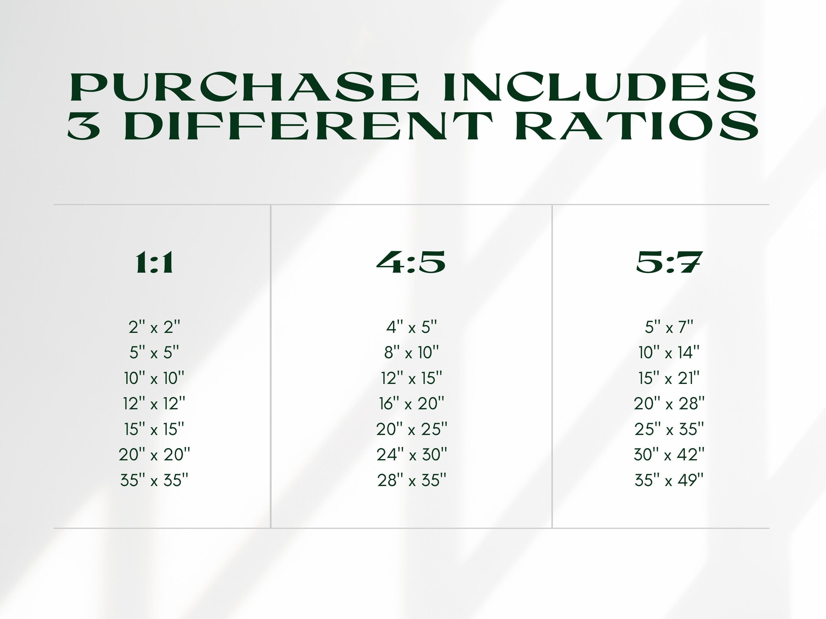 Arizona pants hot sale size chart