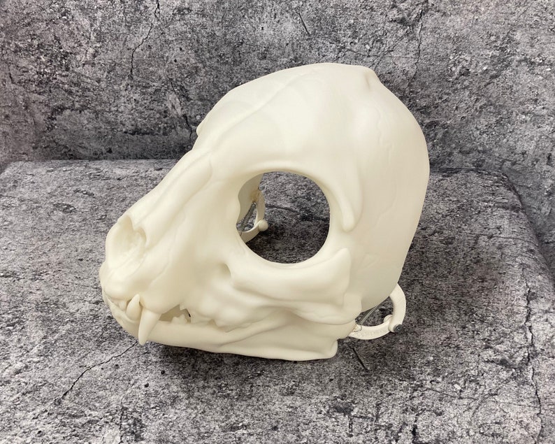 3D printed Skull cat head base