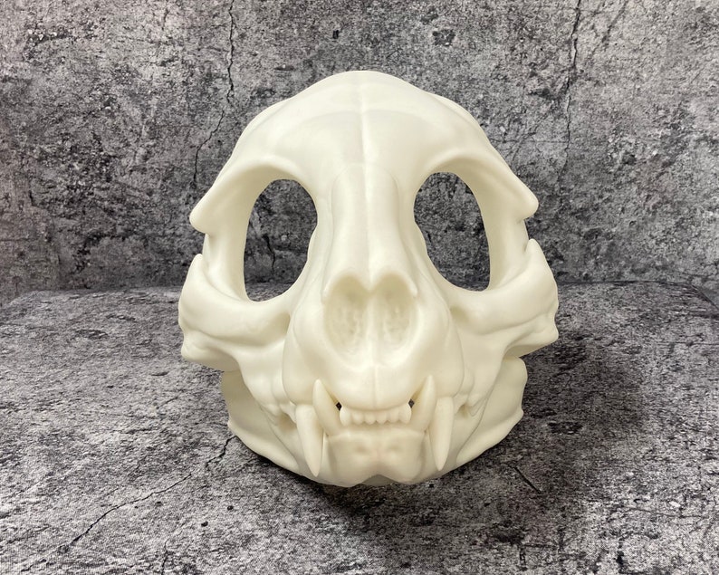 3D printed Skull cat head base