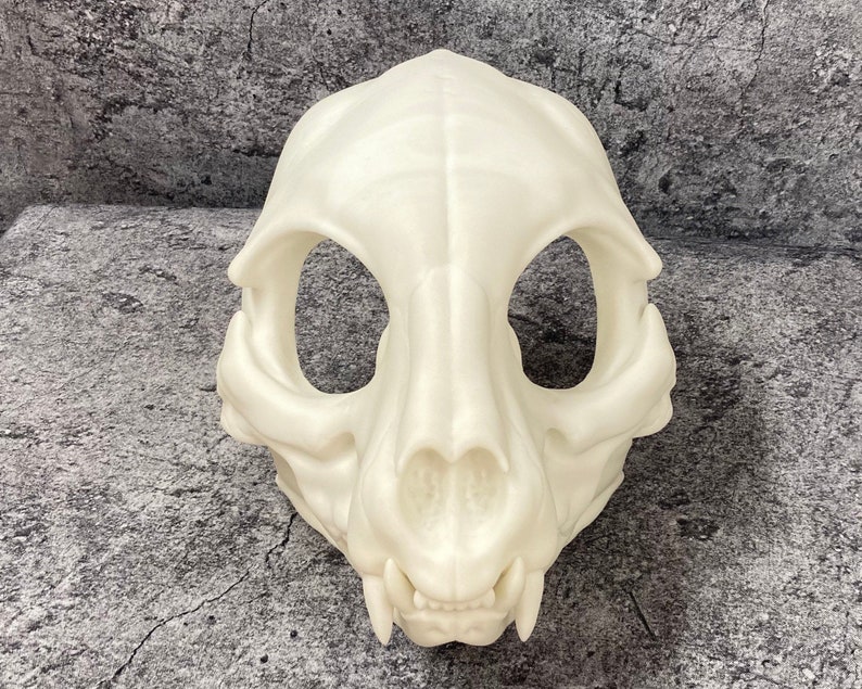 3D printed Skull cat head base