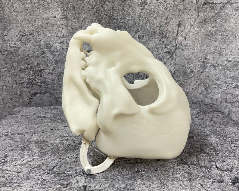 3D printed Skull cat head base