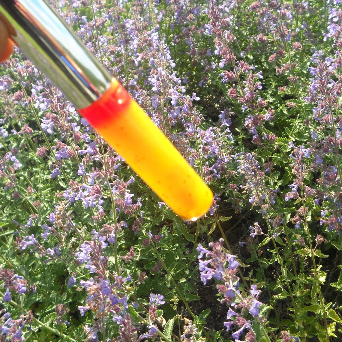 Clear Lip Gloss Flavored Lip Gloss Long Lasting Lip Gloss Etsy