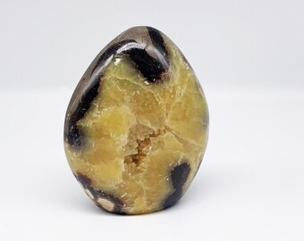 Septarian Dragon Stone Standing Freeform