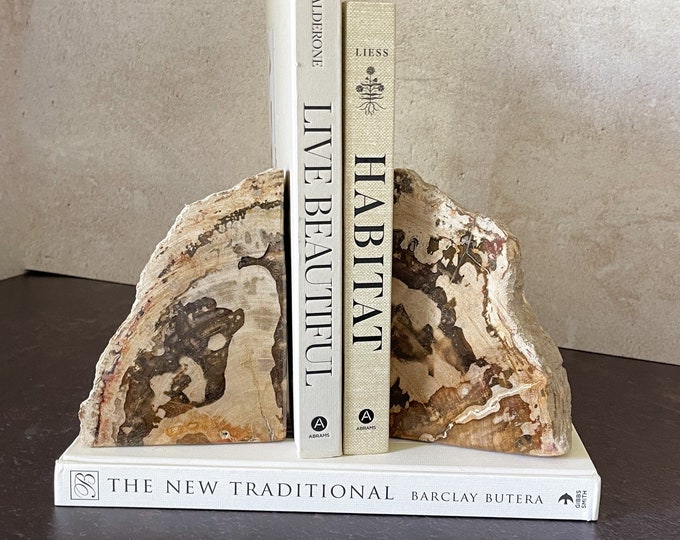 Petrified Wood Bookends, Natural Stone Bookends, Petrified Wood Decor