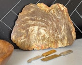 Petrified Wood Serving Board, Cheese Board, Charcuterie Board, Serving Platter, Stone Platter, Appetizer Tray, Natural Kitchen Decor