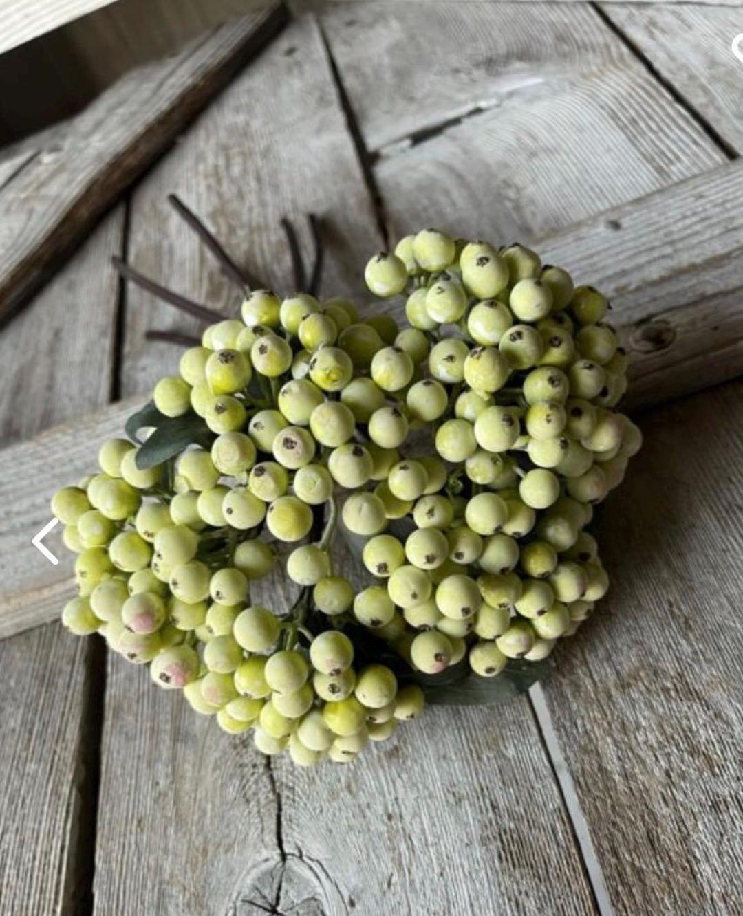 Light Green Berry Cluster 10in Bundle - Etsy