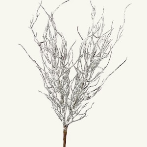 May include: A silver glitter twig spray with a brown stem. The twig spray is perfect for adding a touch of winter to your home decor.