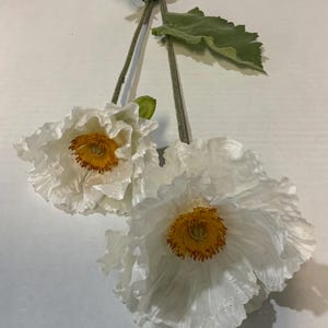 May include: Two white poppy flowers with ruffled petals and a yellow and orange center. The flowers are attached to a green stem with green leaves. The image is a close-up of the flowers.