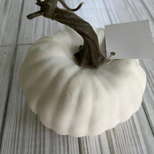 May include: A white decorative pumpkin with a brown stem and a blank tag attached. The pumpkin has a ribbed texture and is set against a light-colored wooden background. Ideal for fall decor.