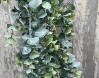 Frosted Hanging 34”L Eucalyptus Bush