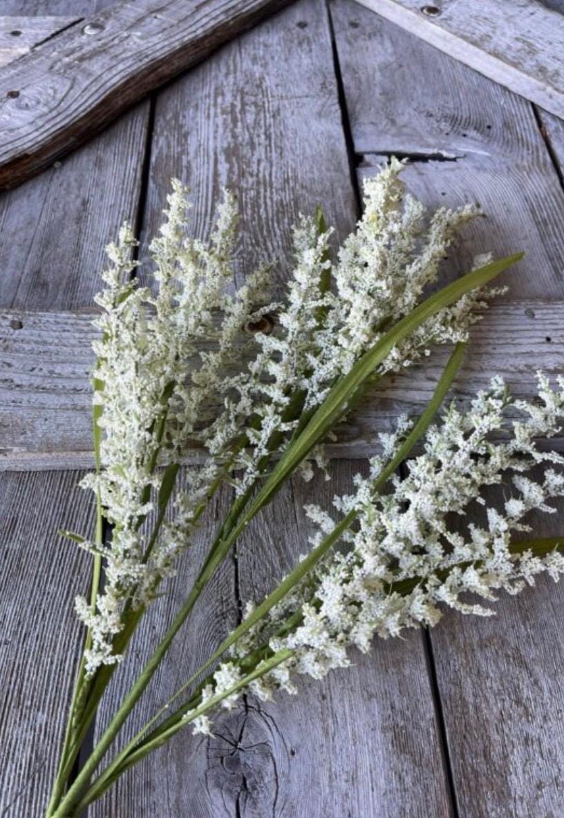 Crenium Reed Cream Feather Reed Grass 28”wx6”hx6”d Stem X3 Stems - Etsy