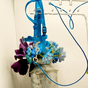 May include: A bright blue pet harness with a matching leash, displayed with a bouquet of purple and blue flowers in a galvanized metal milk can. The harness has adjustable straps and metal hardware.