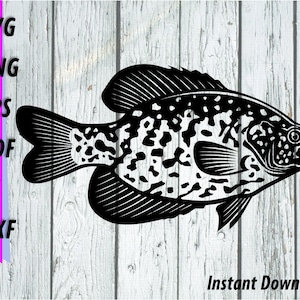 Crappie SVG - Crappie fishing Clipart - Sportfishing window decal cut file