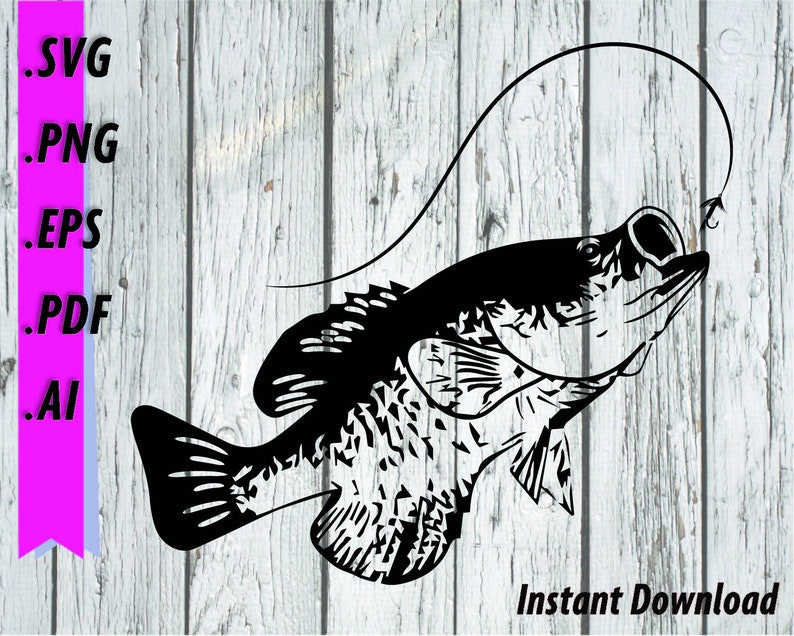 Download Crappie Fishing SVG Crappie attacking Fly Clipart | Etsy