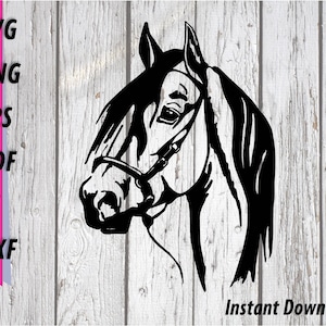 Tête de cheval SVG - Clipart équestre, cadeau de cavalier de cheval, fichier de coupe de rodéo