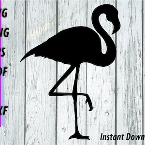 Flamingo SVG - Flamingo Silhouette Cut File - Flamingo Clipart