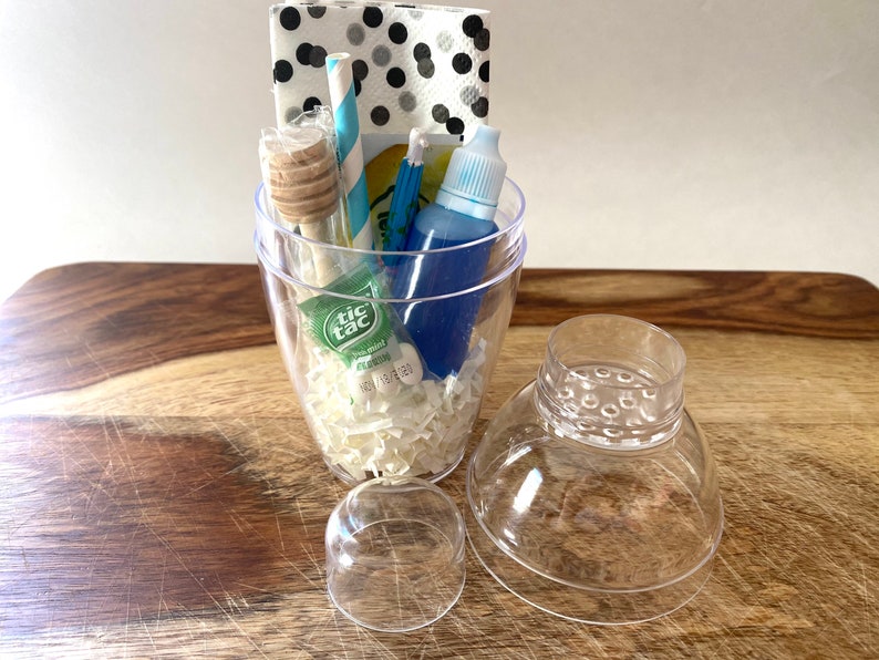 Bluebird On The Go Airplane Cocktail Cocktail Kit Etsy