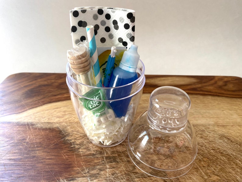 Bluebird On The Go Airplane Cocktail Cocktail Kit Etsy