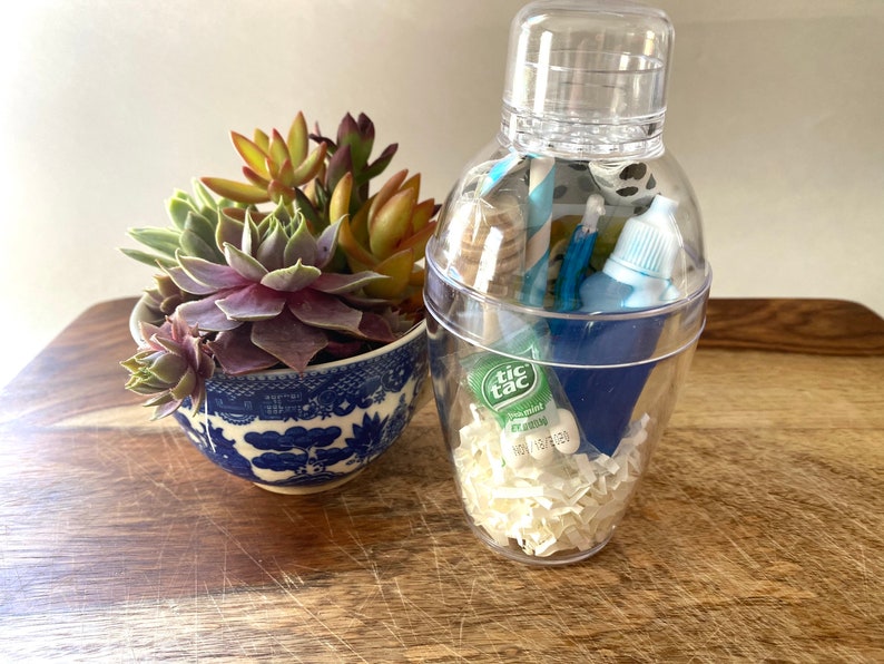 Bluebird On The Go Airplane Cocktail Cocktail Kit Etsy