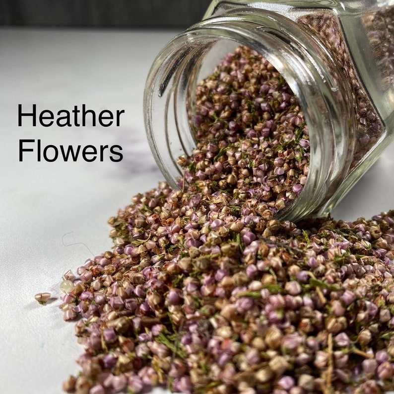 Flowers Gin Botanicals DIY Gin and Tonic Bittering Agent Etsy