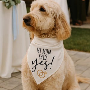 My Mom Said Yes Dog Bandana, Engagement Announcement Pet Bandana, Wedding Dog Bandana, proposal dog bandana for Engagement Photoshoots