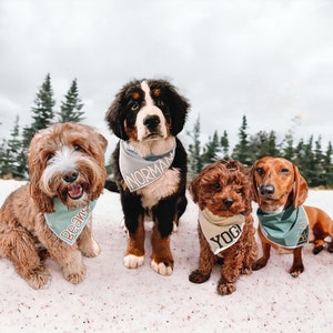Dog Bandana Personalized, Custom Dog bandana, puppy bandana, dog name bandana, dog bandana boy, personalized dog bandana, boy dog bandana