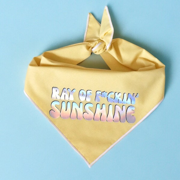 Ray Of F*ckin' Sunshine Dog Bandana, Funny Dog Bandana, Summer dog bandanas, Iridescent dog bandana, Hippie Dog Bandana, Retro Dog Bandana