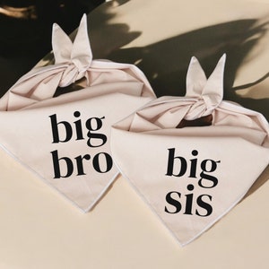 Big Brother or Big Sister Dog Bandana | Pregnancy Announcement Pet Scarf | Baby Reveal Dog Accessory for Gender-Neutral Photos