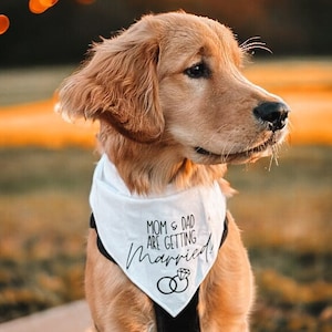 Mom and Dad Are Getting Married, My Parents Are Getting Married Engagement Dog Bandana, Announcement Bandana, Wedding Dog Bandana,