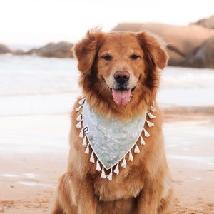 Boho Dog Bandana, Sage Green Dog bandana, Girl Dog bandana, Dog Accessories Girl, Spring Dog bandana, Floral Dog bandana, cute dog bandana