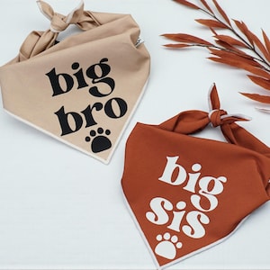 Big Bro Big Sis Dog Bandanas Matching Pet Sibling Set Cute Puppy Announcement Gift New Baby Reveal Dog Scarf Brother Sister Dog Accessories