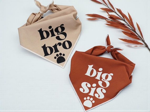 Big Bro Big Sis Dog Bandanas Matching Pet Sibling Set Cute Puppy Announcement Gift New Baby Reveal Dog Scarf Brother Sister Dog Accessories