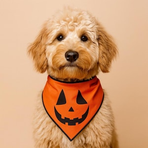 Halloween Jack O&#39; Lantern Dog Bandana: Fall Pumpkin Pet bandana