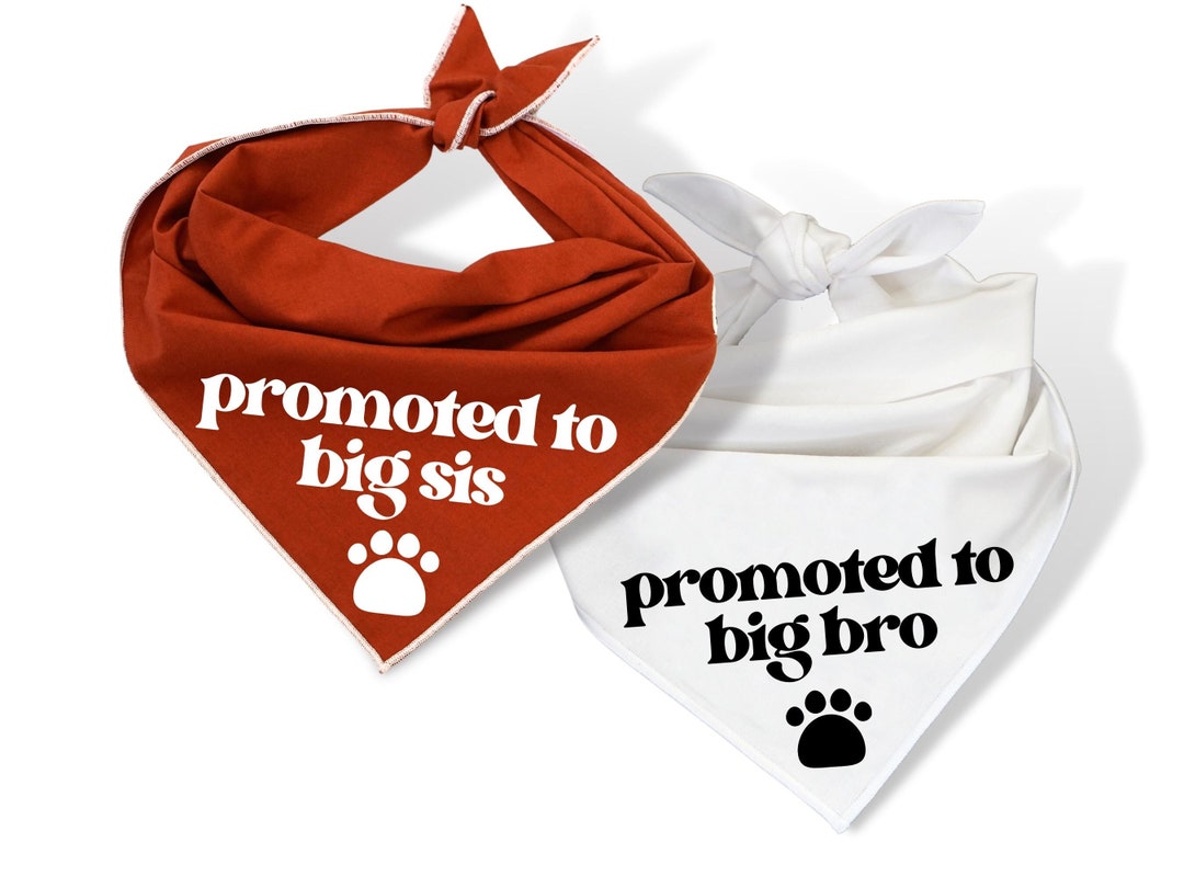 Promoted to Big Bro and Big Sis Dog Bandanas, Pregnancy Announcement
