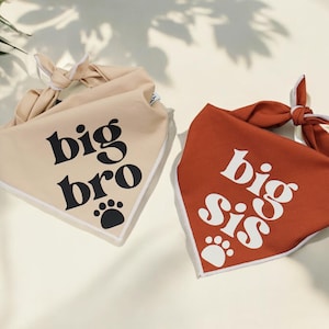 Big Brother Dog Bandana | Big Sister Dog Bandana – Pregnancy Announcement Pet Scarf, Big sis bandana and Big bro bandana for photos
