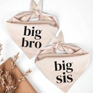 Big Brother Dog Bandana, Big Sister Dog Bandana, Pregnancy Announcement Dog bandana, big bro bandana, big sis bandana, new mom gifts