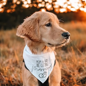 Mom and Dad Are Getting Married Dog Bandana, Engagement Announcement Pet Bandana, My Parents Are Getting Married Engagement Dog Gift