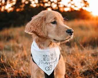 Mom and Dad Are Getting Married Dog Bandana Wedding Announcement Pet Scarf White Engagement Reveal Outfit Cute Proposal Photo Prop For Dogs