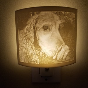 Custom 3D Printed Photo Night Light, Wall Plugin, Personalized Gift