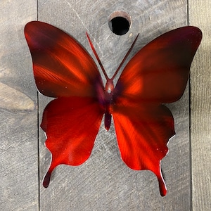 May include: A red metal butterfly wall decor with a dark red and black gradient on the wings. The butterfly is mounted on a wooden surface.